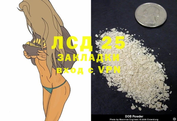 ПСИЛОЦИБИНОВЫЕ ГРИБЫ Беломорск
