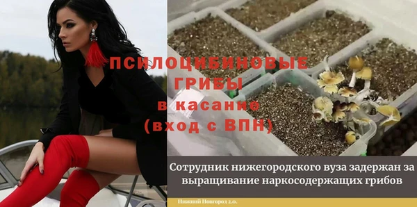 ПСИЛОЦИБИНОВЫЕ ГРИБЫ Беломорск