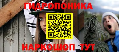 бутират Кингисепп
