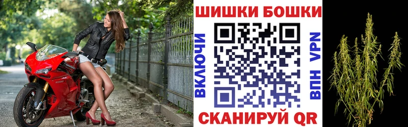 МАРИХУАНА ГИДРОПОН  Луховицы 